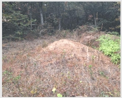  2025Ÿ��52138  �Ӿ߰��