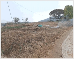  2025Ÿ��52138  �����