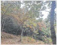  2025Ÿ��52138  �����