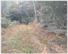  2025Ÿ��52138  �����