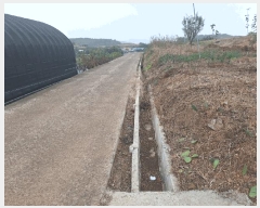  2025Ÿ��52138  �����