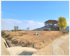  2025Ÿ��52138  �����