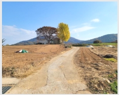  2025Ÿ��52138  �����