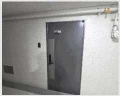  2025Ÿ��52186  ���ǽ��ڰ��