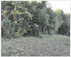  2025Ÿ��52210 ���� ������ ������ ��� 815      ����(��1)���