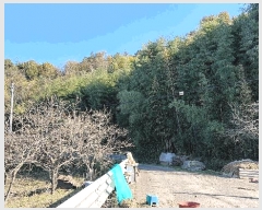  2025Ÿ��52210 ���� ������ ������ ��� 815      ����(��1)���