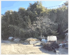  2025Ÿ��52210 ���� ������ ������ ��� 815      ����(��1)���