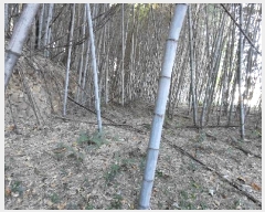  2025Ÿ��52210 ���� ������ ������ ��� 815      ����(��1)���