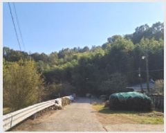  2025Ÿ��52210 ���� ������ ������ ��� 815      ����(��1)���