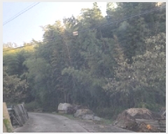  2025Ÿ��52210 ���� ������ ������ ��� 815      ����(��1)���