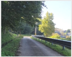  2025Ÿ��52210 ���� ������ ������ ��� 815      ����(��1)���