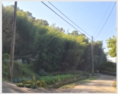  2025Ÿ��52210 ���� ������ ������ ��� 815      ����(��1)���