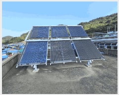  2025Ÿ��52227 ���� ������ ���� ������ 1000      ���ð��