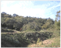  2025Ÿ��52254 ���� ���ﱺ �ο��� ��븮 1088-2      ����(��1)���