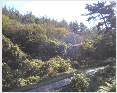  2025Ÿ��52254 ���� ���ﱺ �ο��� ��븮 1088-2      ����(��1)���