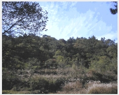  2025Ÿ��52254 ���� ���ﱺ �ο��� ��븮 1088-2      ����(��1)���