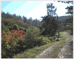  2025Ÿ��52254 ���� ���ﱺ �ο��� ��븮 1088-2      ����(��1)���