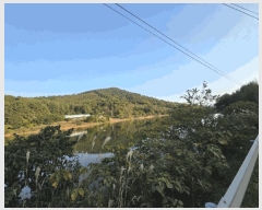  2025Ÿ��52293 ���� ���ﱺ ������ ��踮 699-6      ����(�Ӿ�)���