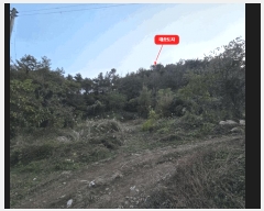  2025Ÿ��52293 ���� ���ﱺ ������ ��踮 699-6      ����(�Ӿ�)���