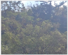  2025Ÿ��52293 ���� ���ﱺ ������ ��踮 699-6      ����(�Ӿ�)���