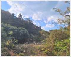  2025Ÿ��52293 ���� ���ﱺ ������ ��踮 699-6      ����(�Ӿ�)���