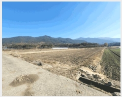  2025Ÿ��52306  ����