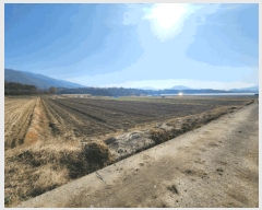  2025Ÿ��52306  ����