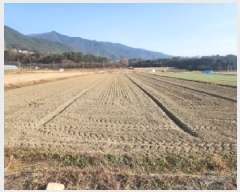  2025Ÿ��52306  ����