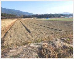  2025Ÿ��52306  ����