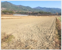  2025Ÿ��52306  ����