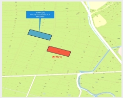  2025Ÿ��52306  ����