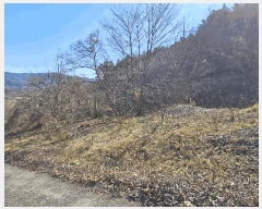  2025Ÿ��52356  ����