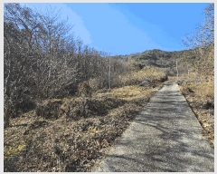  2025Ÿ��52356  ����