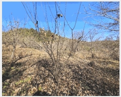  2025Ÿ��52356  ����