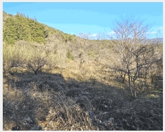  2025Ÿ��52356  ����