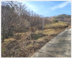  2025Ÿ��52356  ����