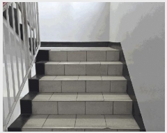  2025Ÿ��52372  ����Ʈ���