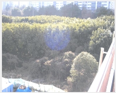  2025Ÿ��52406 ���� ��õ�� ���⵿ 317-6       ����(��)���