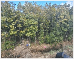  2025Ÿ��52406 ���� ��õ�� ���⵿ 317-6       ����(��)���