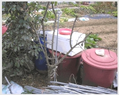  2025Ÿ��52406 ���� ��õ�� ���⵿ 317-6       ����(��)���