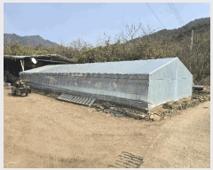 2025Ÿ��52424  ���ð��