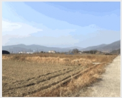  2025Ÿ��52454 ���� ��õ�� ���ȸ� ���̸� 1051-1      ����(��)���