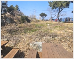  2025Ÿ��343 ���� ������ ������ ��縮 320      ����(��)���