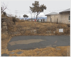  2025Ÿ��343 ���� ������ ������ ��縮 320      ����(��)���