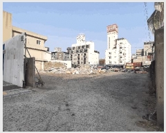  2025Ÿ��367  �������