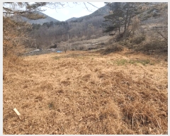  2025Ÿ��379  �����