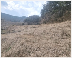  2025Ÿ��379  �����