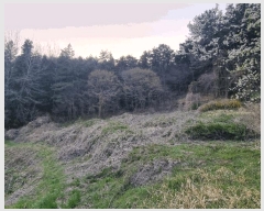  2025Ÿ��379  �����