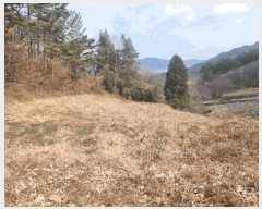  2025Ÿ��379  �����