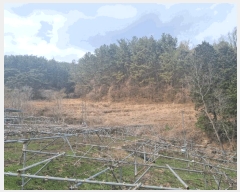  2025Ÿ��379  �����